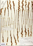 000026718-thumbnail.jpg