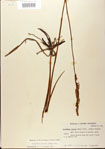 000026724-thumbnail.jpg