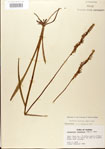 000026725-thumbnail.jpg