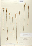 000026726-thumbnail.jpg