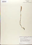 000026727-thumbnail.jpg