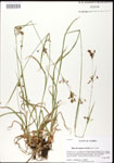 000026767-thumbnail.jpg