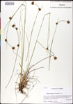 000026797-thumbnail.jpg