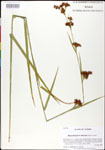 000026798-thumbnail.jpg