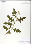 000026803-thumbnail.jpg