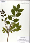 000026811-thumbnail.jpg