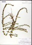 000026820-thumbnail.jpg