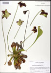 000026821-thumbnail.jpg