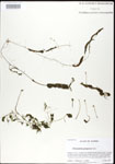 000026822-thumbnail.jpg