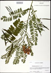 000026830-thumbnail.jpg