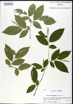 000026831-thumbnail.jpg