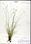 000026835-thumbnail.jpg