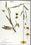 000026837-thumbnail.jpg