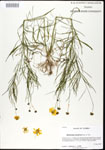 000026838-thumbnail.jpg