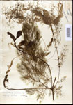 000026859-thumbnail.jpg
