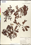 000027049-thumbnail.jpg