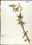 000027051-thumbnail.jpg