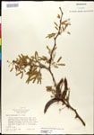000027056-thumbnail.jpg