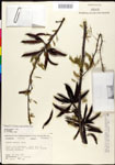 000027058-thumbnail.jpg