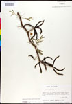 000027059-thumbnail.jpg