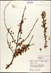 000027072-thumbnail.jpg