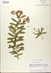 000027522-thumbnail.jpg