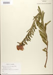 000027523-thumbnail.jpg