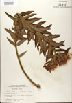 000027527-thumbnail.jpg