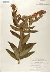 000027529-thumbnail.jpg