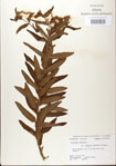 000027530-thumbnail.jpg