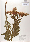000027531-thumbnail.jpg