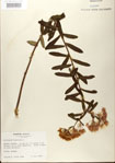 000027533-thumbnail.jpg