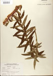 000027534-thumbnail.jpg