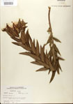 000027535-thumbnail.jpg
