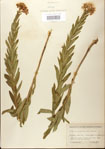 000027536-thumbnail.jpg
