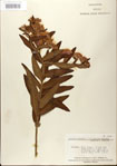 000027537-thumbnail.jpg