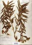 000027538-thumbnail.jpg