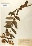 000027539-thumbnail.jpg