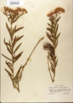 000027540-thumbnail.jpg