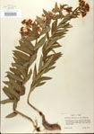 000027541-thumbnail.jpg