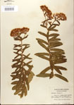 000027542-thumbnail.jpg