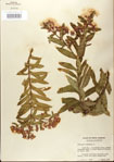000027543-thumbnail.jpg