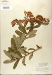 000027544-thumbnail.jpg