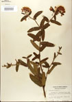 000027545-thumbnail.jpg
