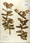 000027546-thumbnail.jpg