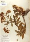 000027547-thumbnail.jpg
