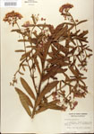 000027549-thumbnail.jpg