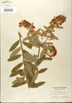 000027550-thumbnail.jpg