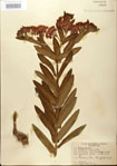 000027551-thumbnail.jpg