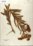 000027552-thumbnail.jpg